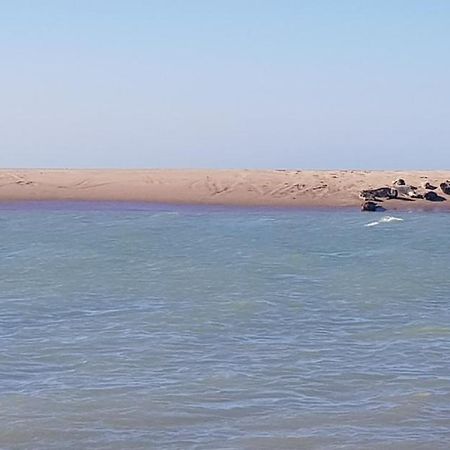 Bed and Breakfast L Hyppo Camp' Oye-Plage Екстер'єр фото