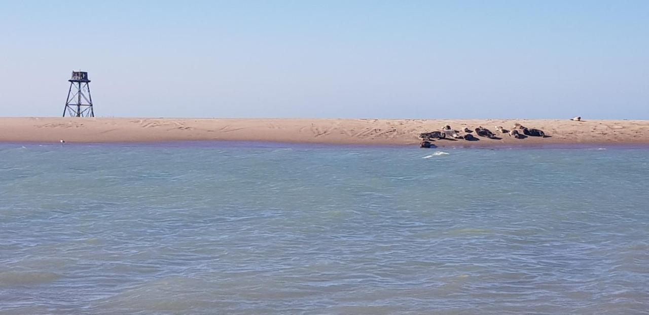 Bed and Breakfast L Hyppo Camp' Oye-Plage Екстер'єр фото