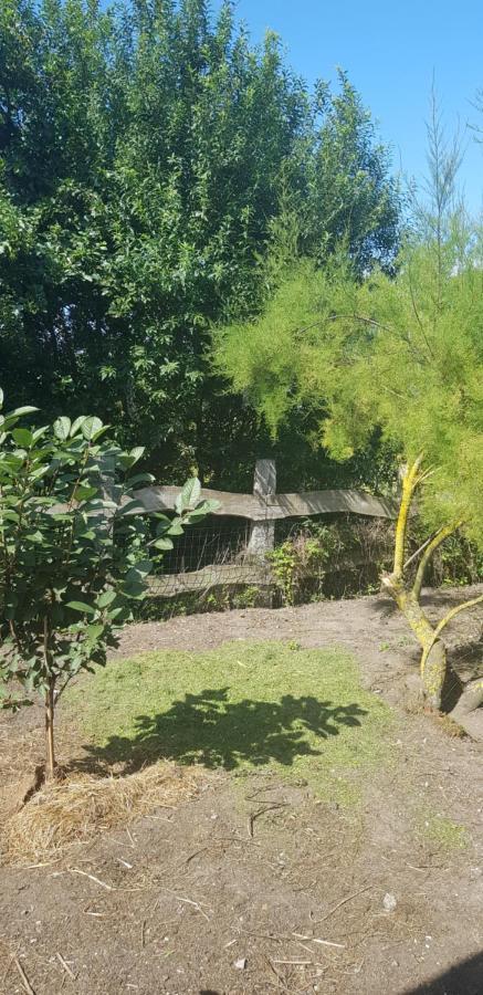 Bed and Breakfast L Hyppo Camp' Oye-Plage Екстер'єр фото